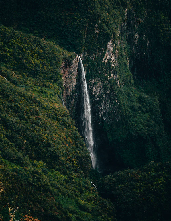 Réunion