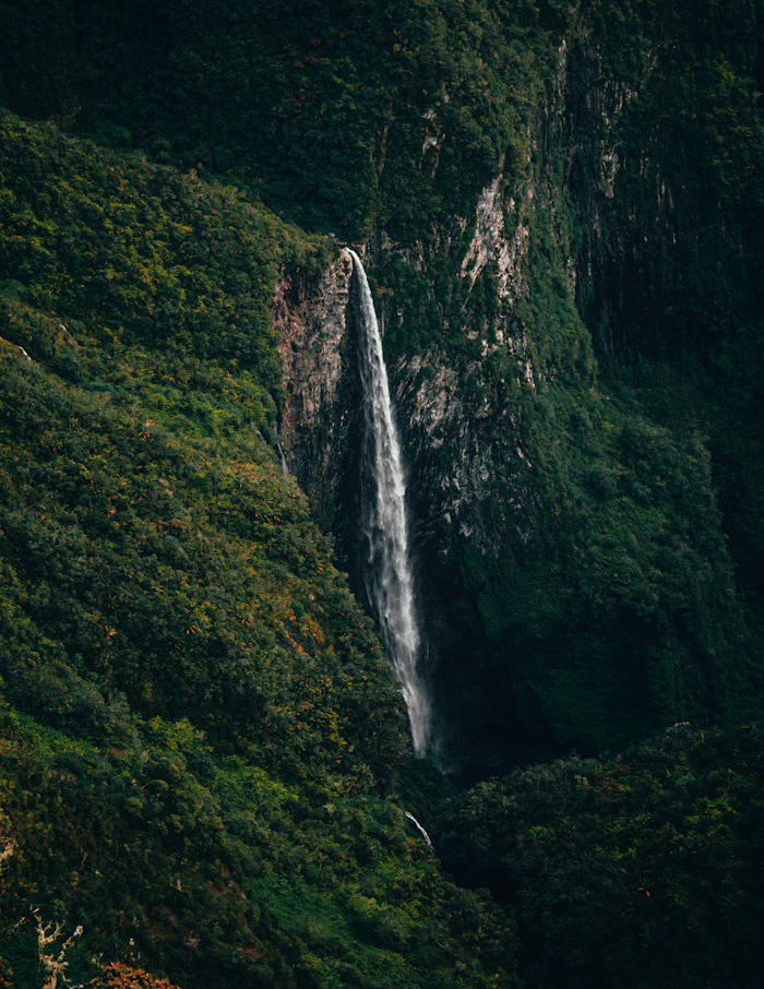 Réunion: Volcano & Cirques — Réunion