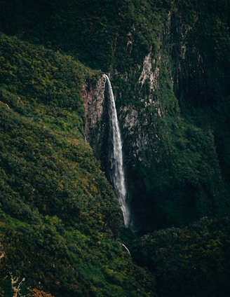 waterfalls in the middle of green mountain