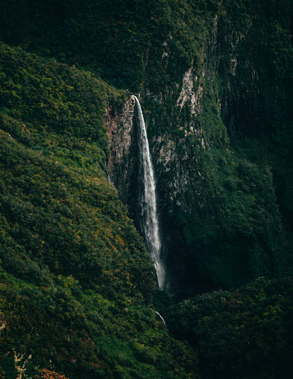 waterfalls in the middle of green mountain