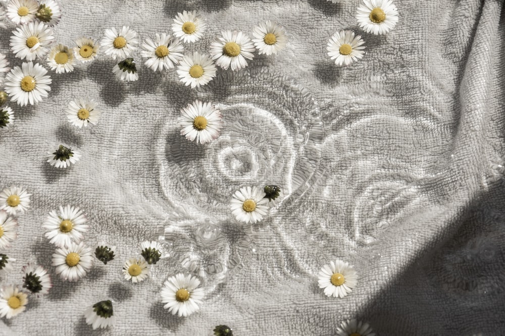 white and blue floral textile