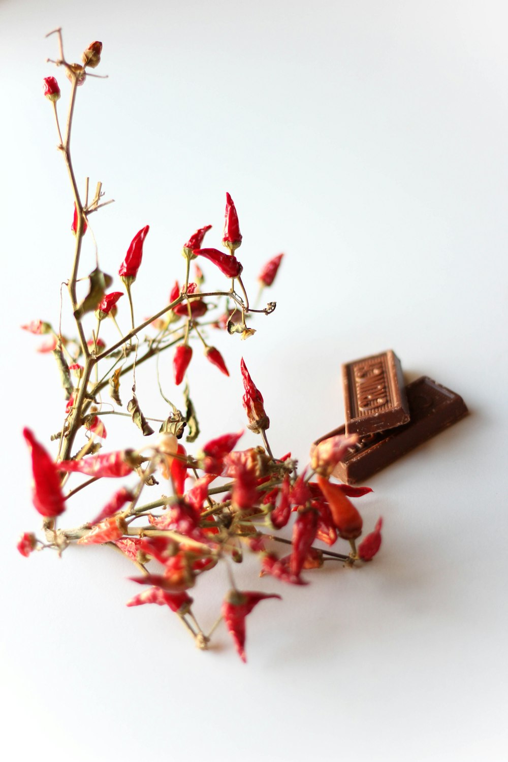 feuilles rouges et vertes sur table blanche