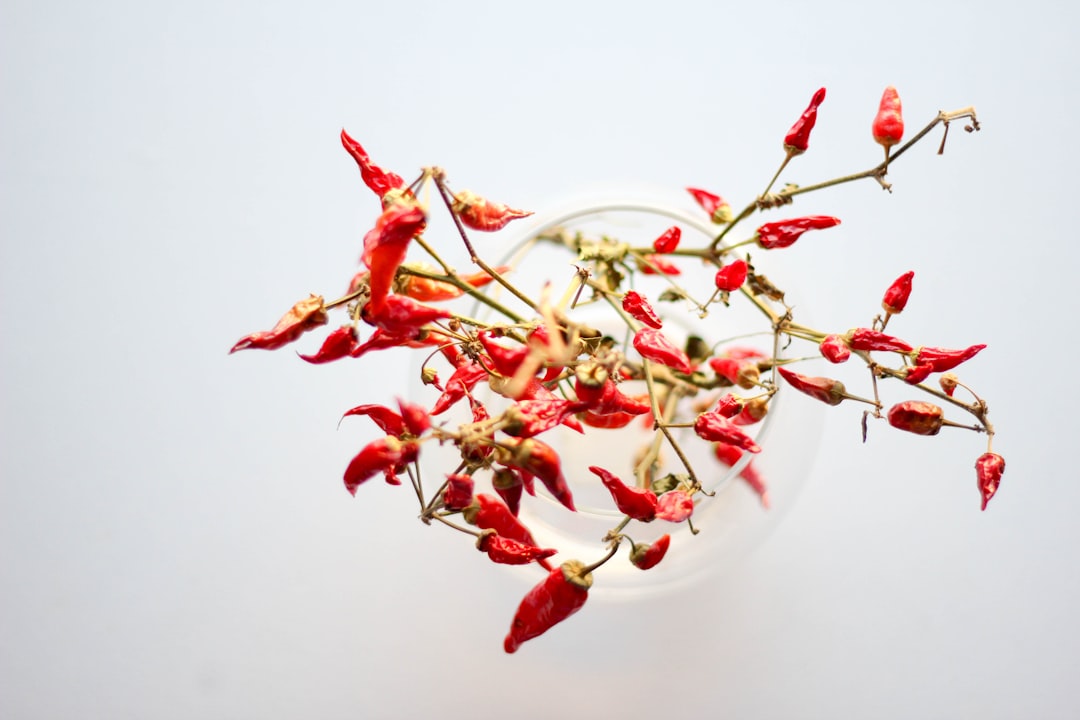 red and white flower on white ceramic bowl