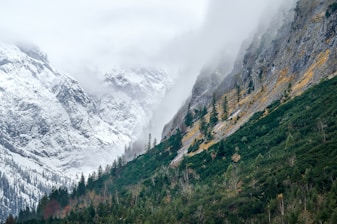 green trees on mountain under white sky during daytime