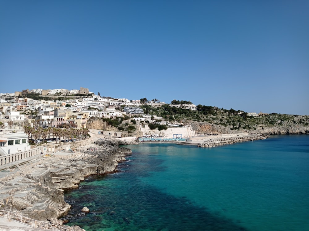 white buildings near body of water during daytime