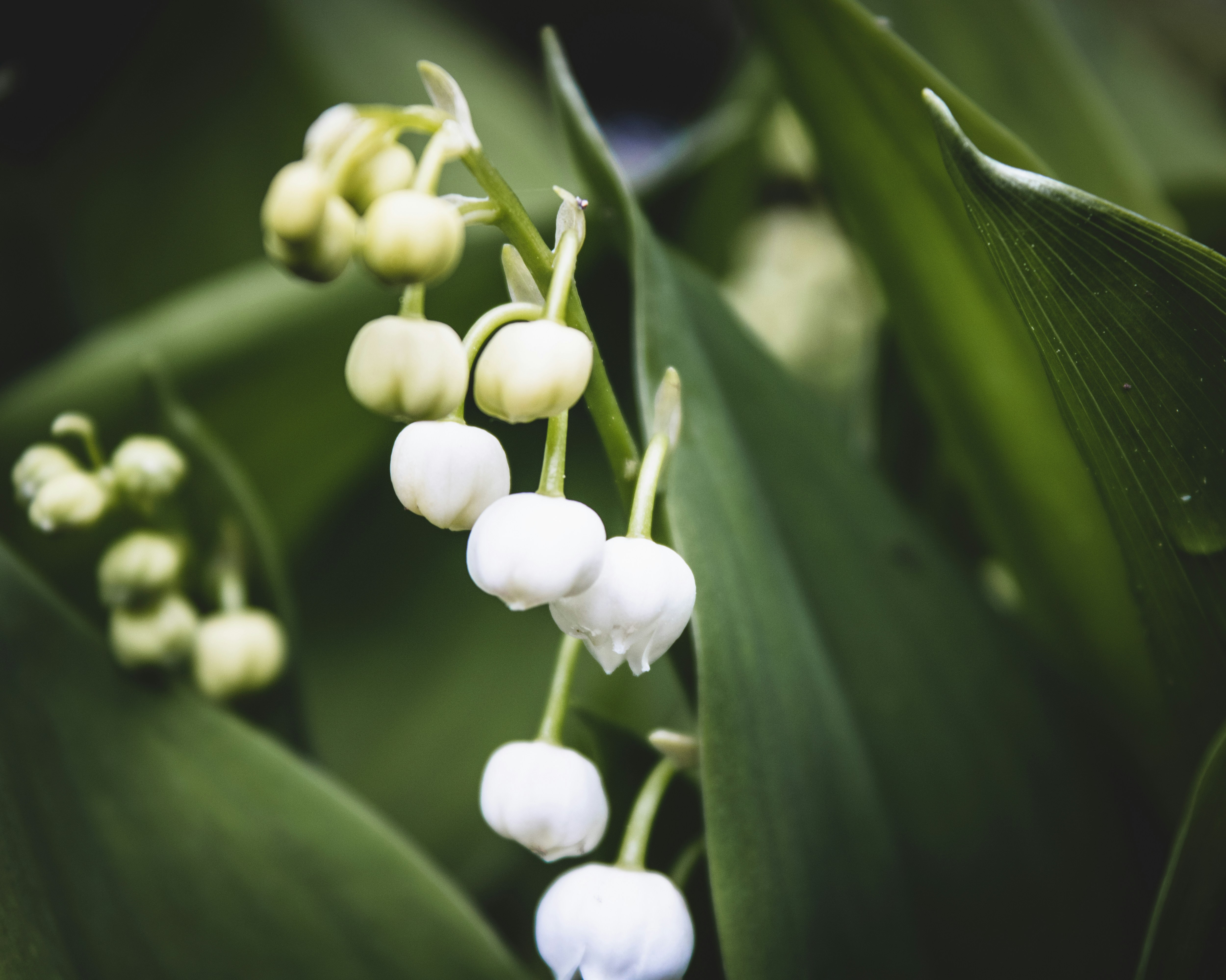 Photo by jaroslavkriz