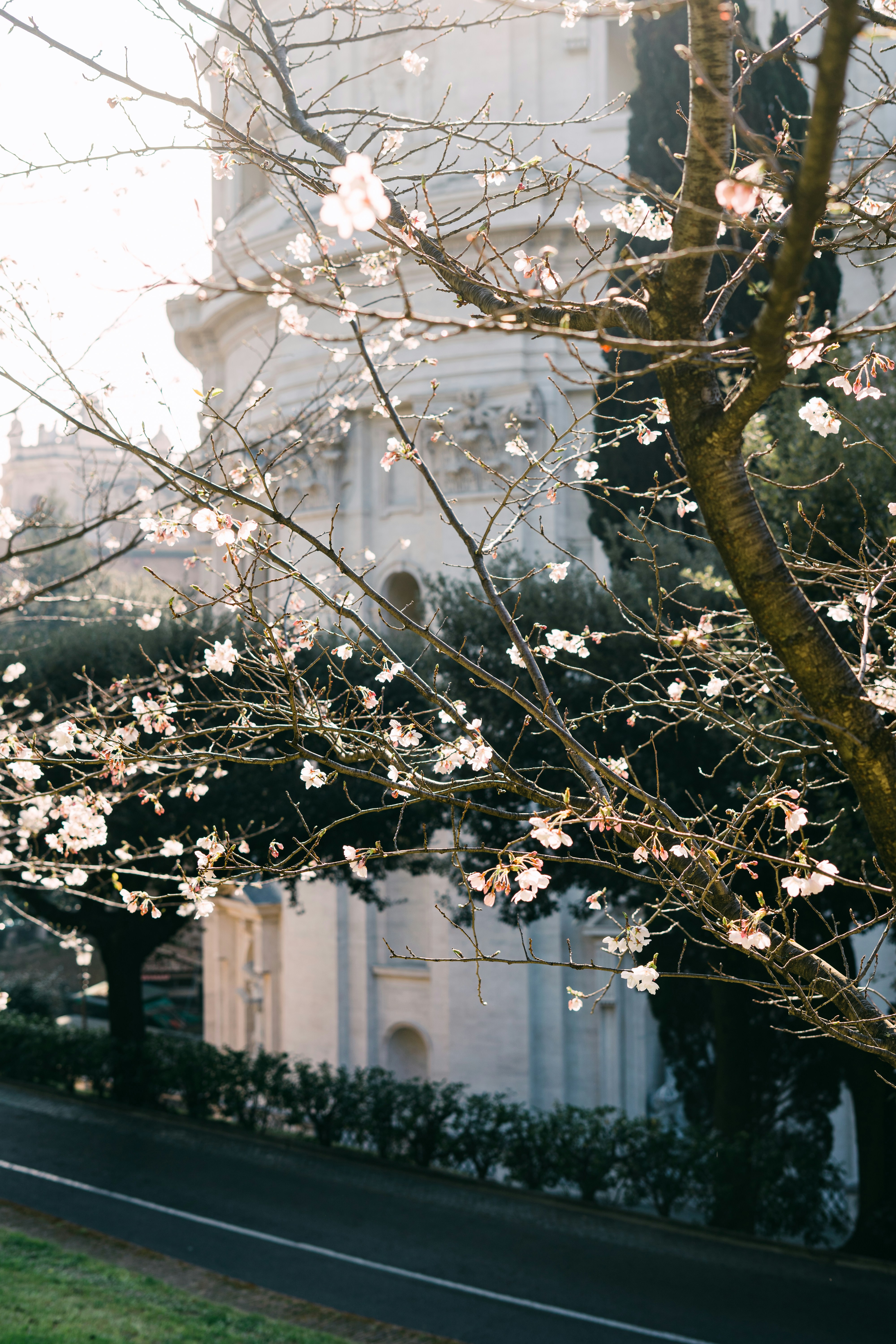 Photo by gabiontheroad