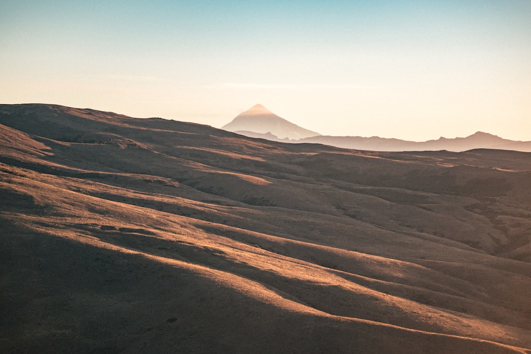 white tent on brown sand under blue sky during daytime