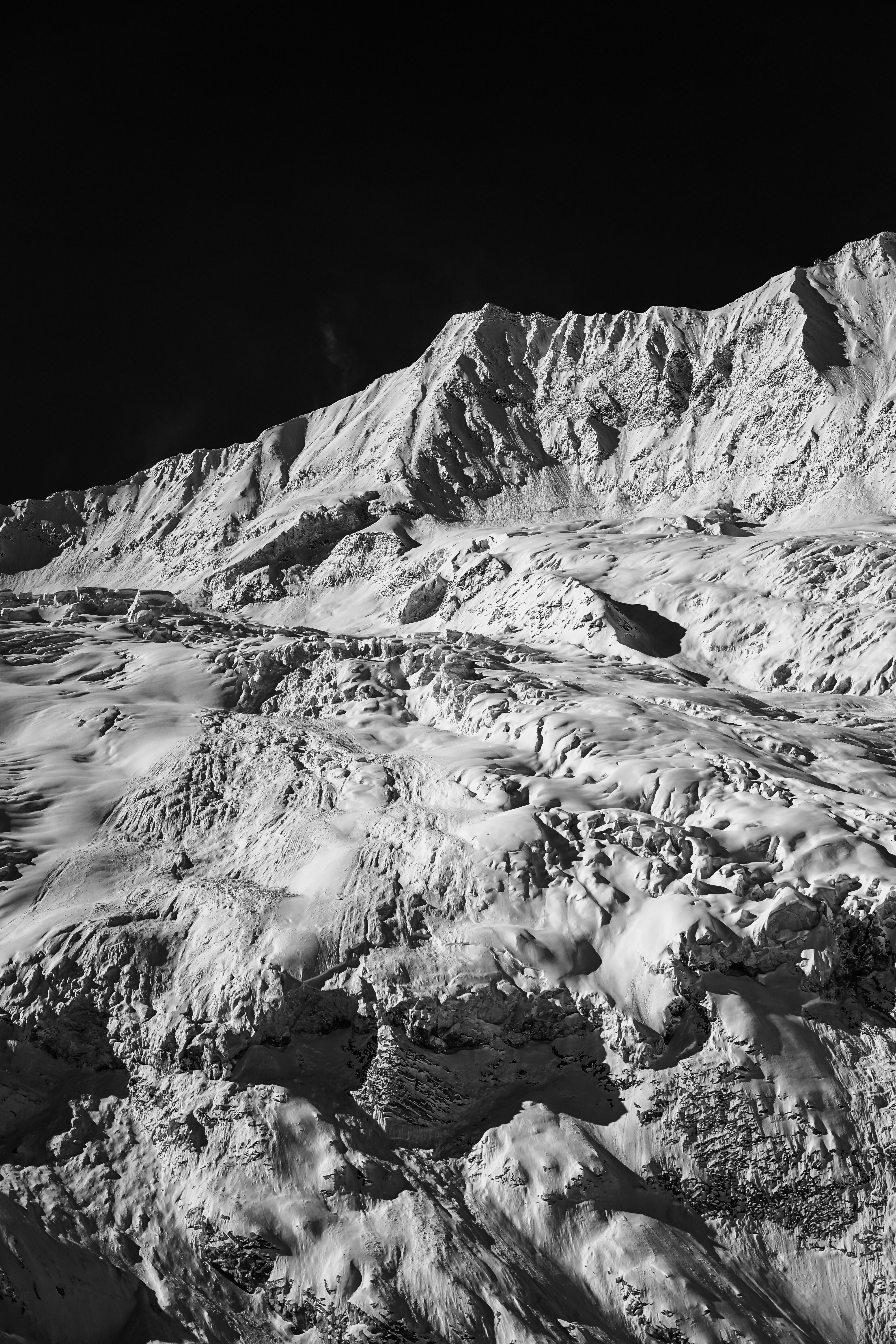 Photo by damienschnorhk