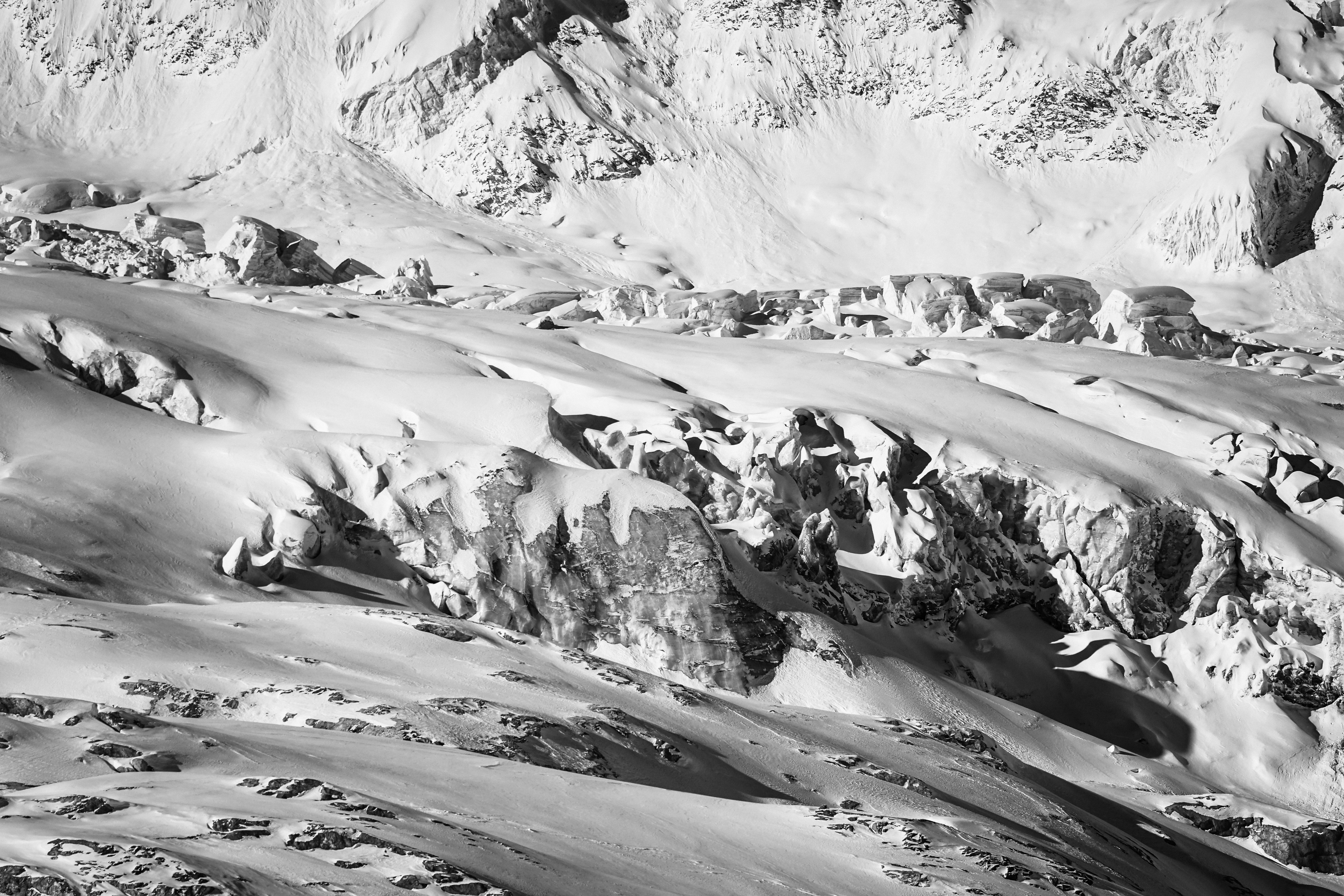 Photo by damienschnorhk