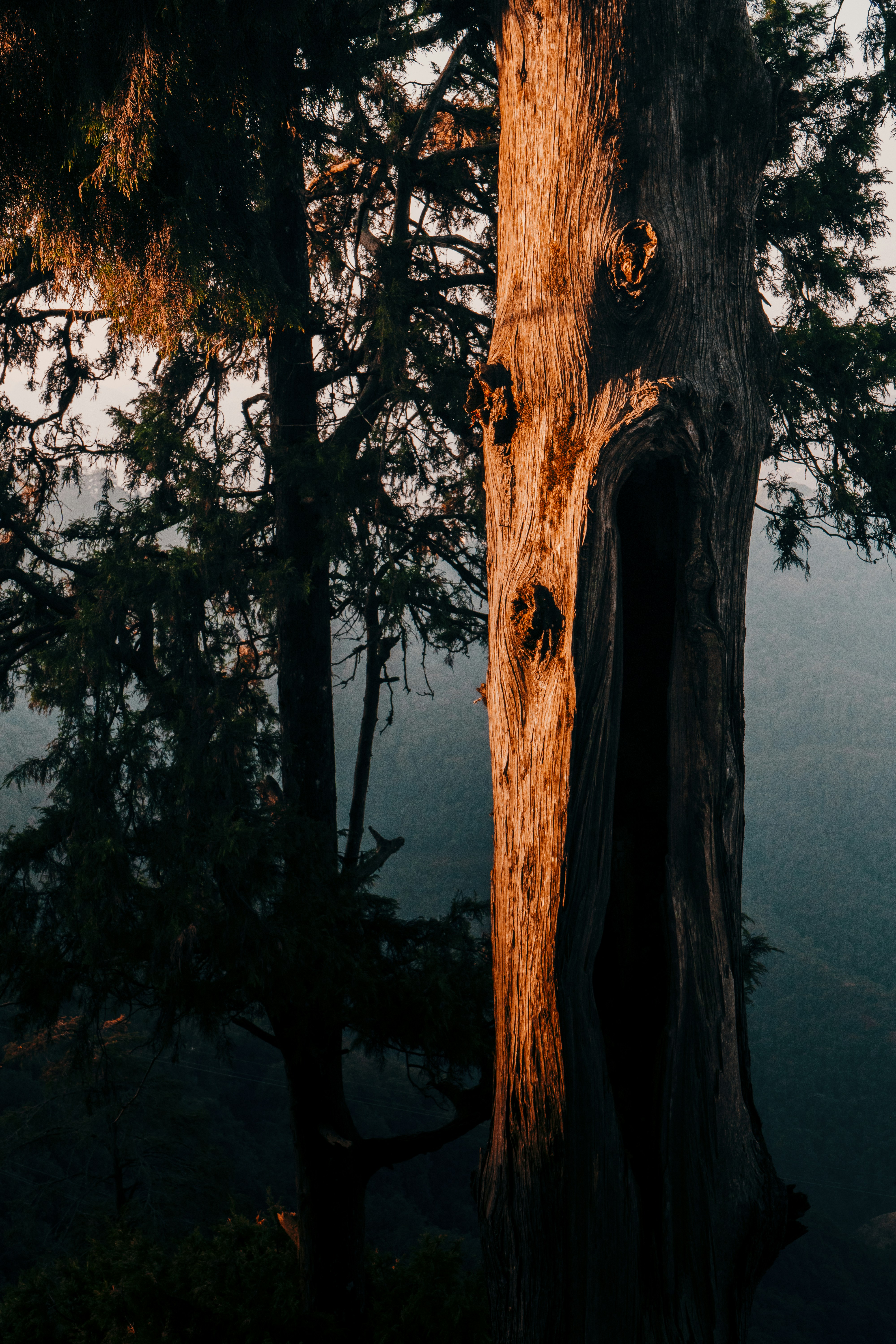 Photo by thatrecklessboy