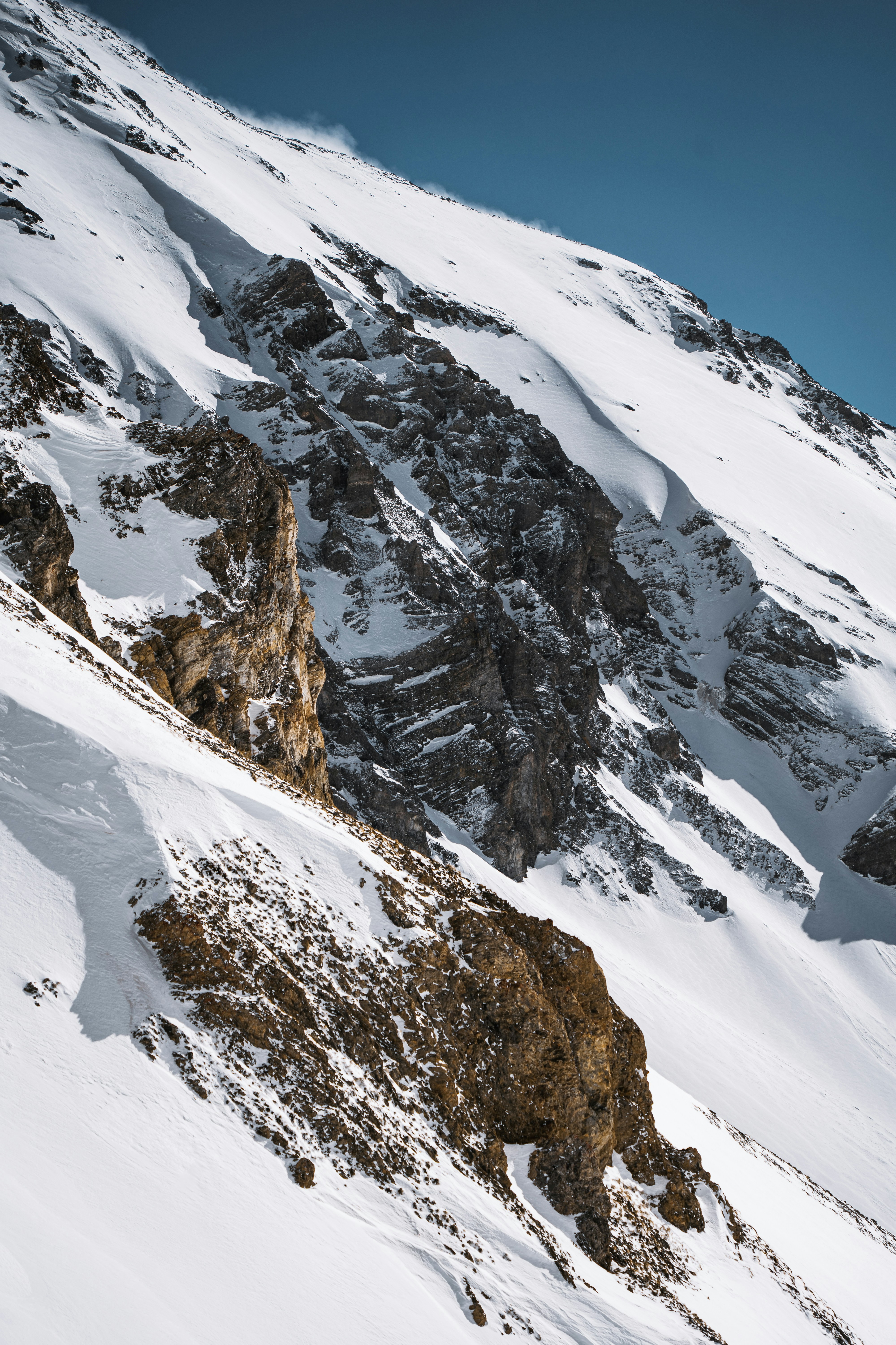 Photo by damienschnorhk