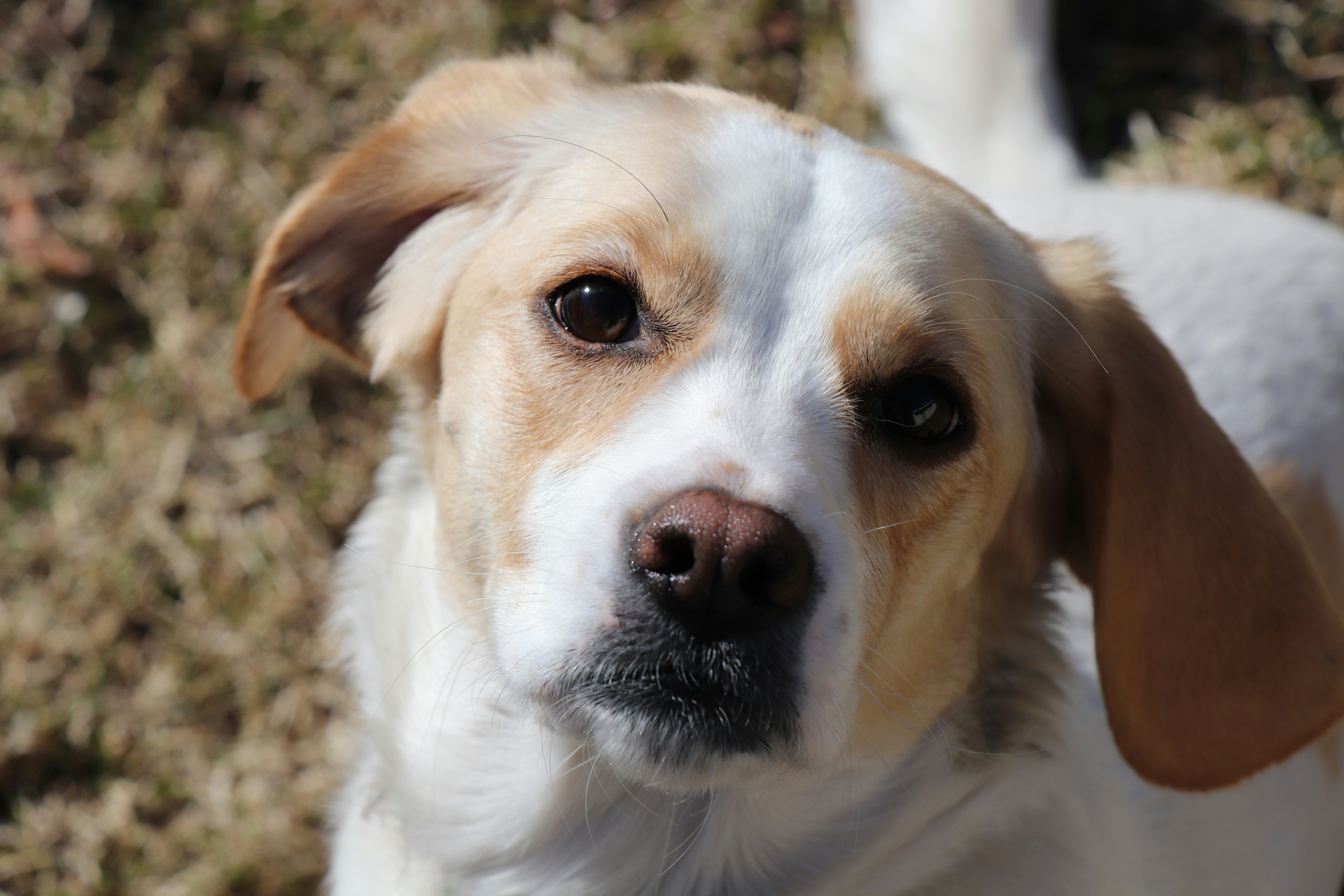 Photo by sandimagerart