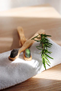Close-up of a bamboo toothbrush resting on natural leaves with soft sunlight filtering through.