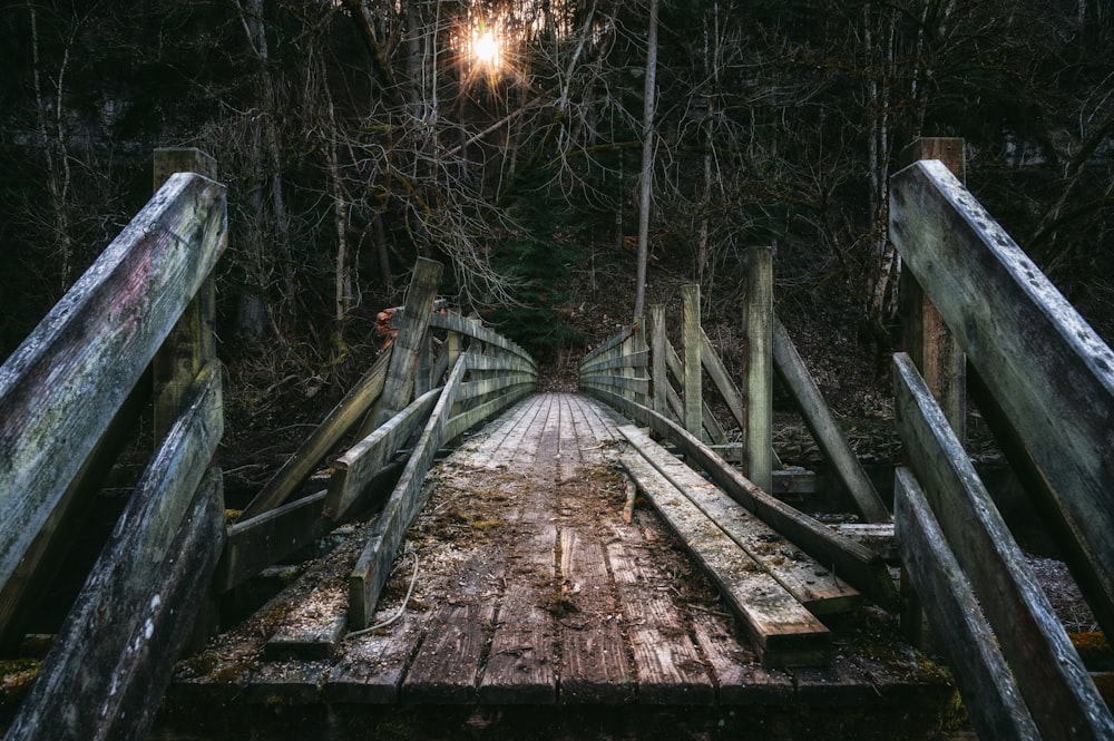 ponte de madeira marrom na floresta durante o dia