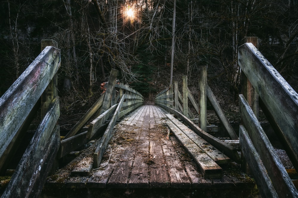 brown wooden bridge in forest during daytime