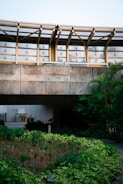 A concrete structure with a modern architectural design featuring large windows and metal beams. There is a lush garden with various green plants in the foreground. On the left side, there are visible recycling bins. The overall scene is well-lit with natural light.