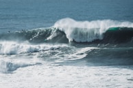 Participants engaged in a thrilling surfing competition.