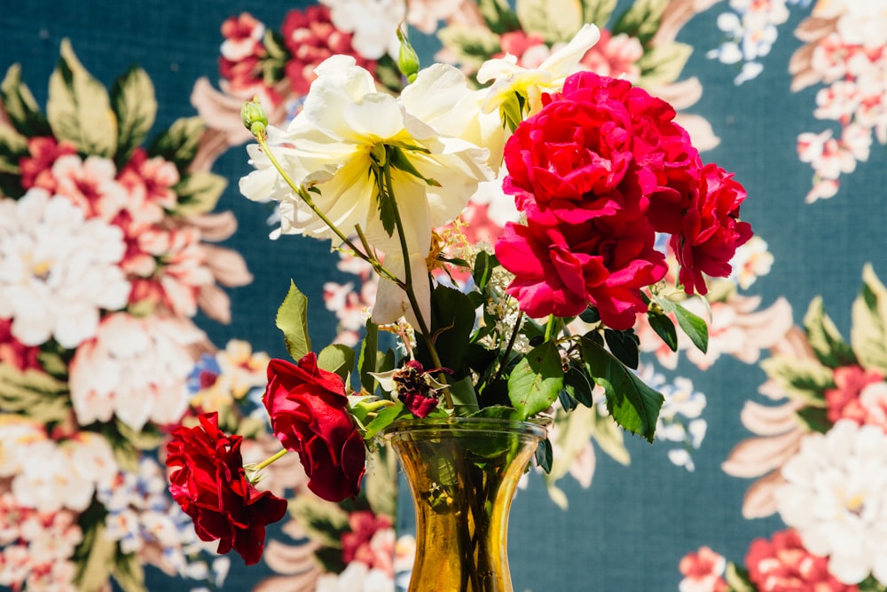 roses rouges et blanches dans un vase en verre transparent