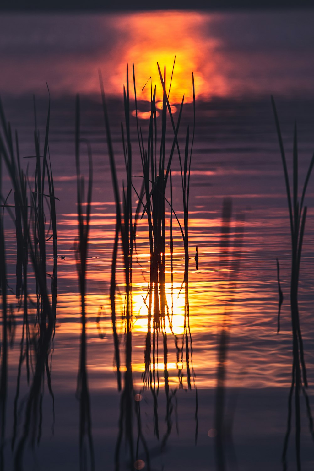 sunset over the sea water