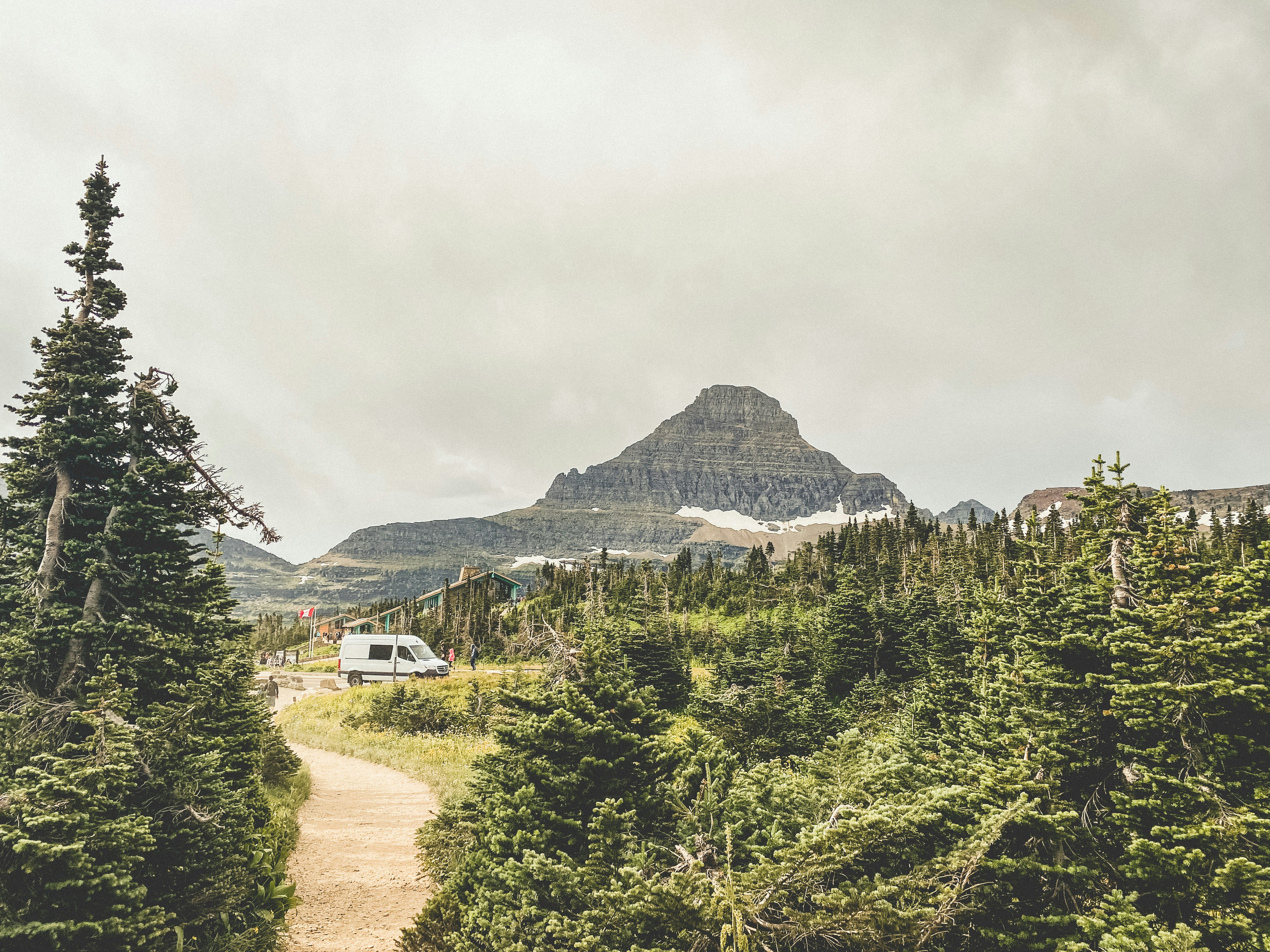 green trees near mountain under white sky during daytime