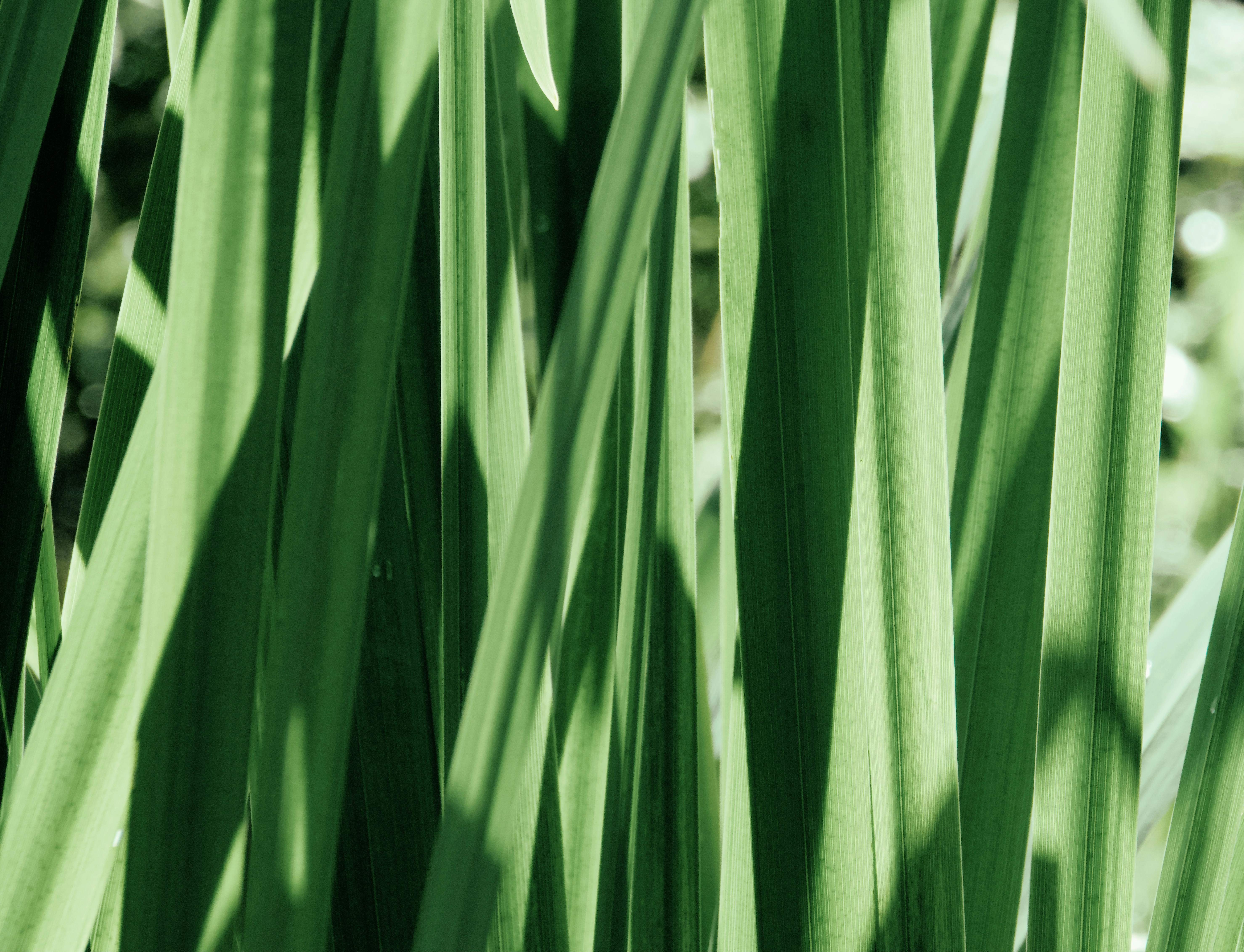 Photo by sinusfiction