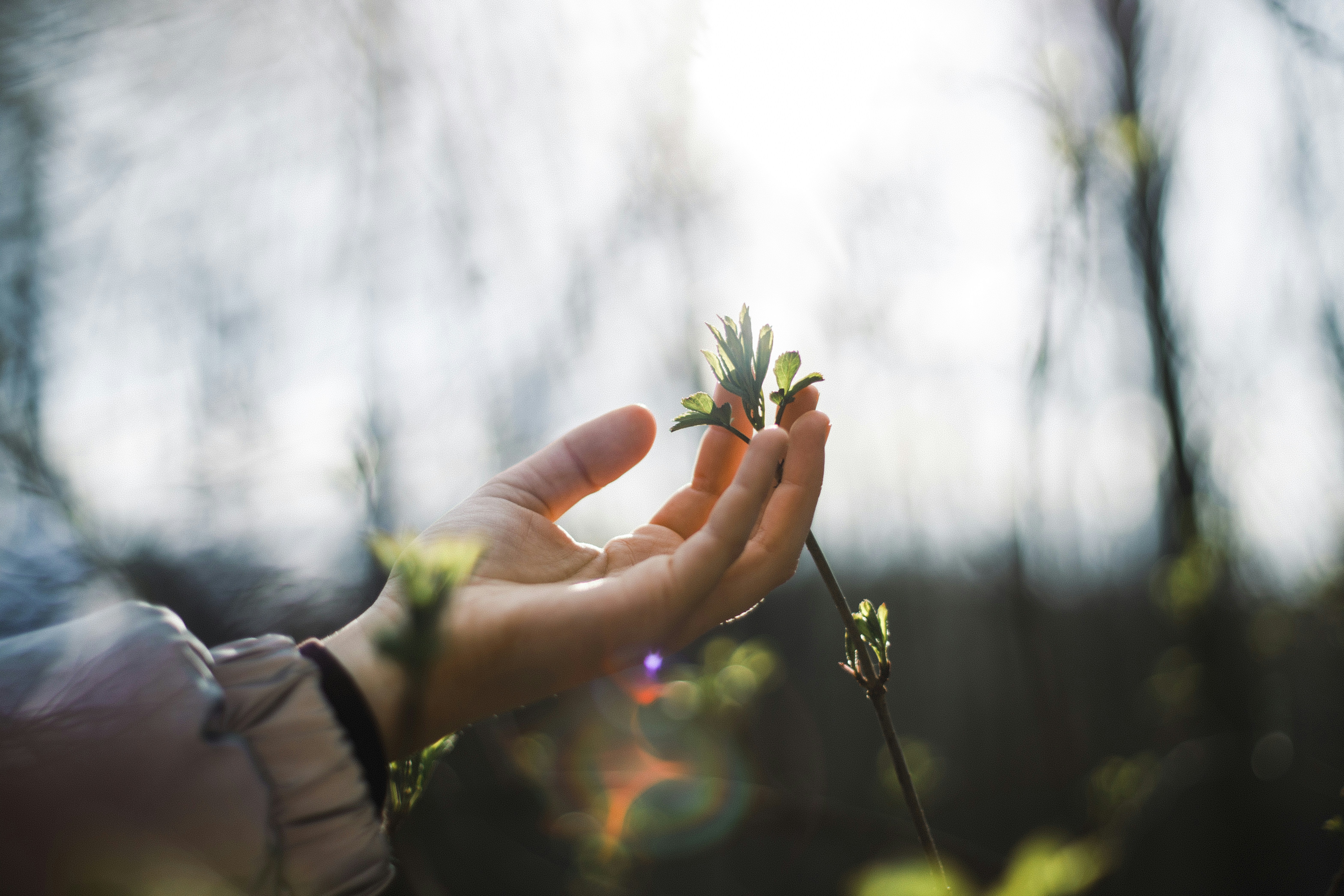 Photo by walkthecreator