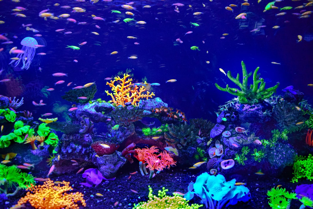 purple and pink coral reef, Colorful underwater world of little creatures🎨🐟🐠💧😊