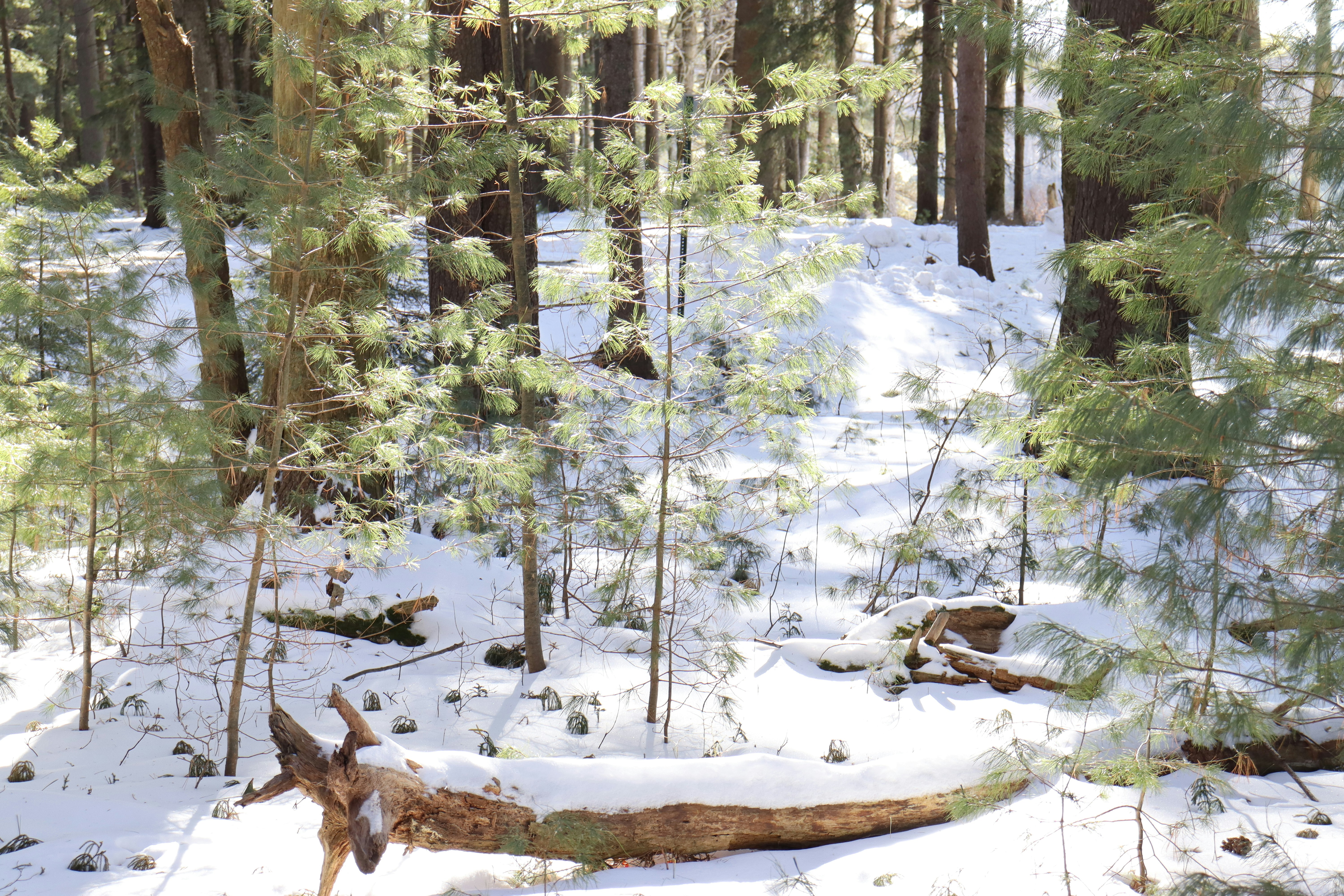 Photo by brandonlawrencephotography