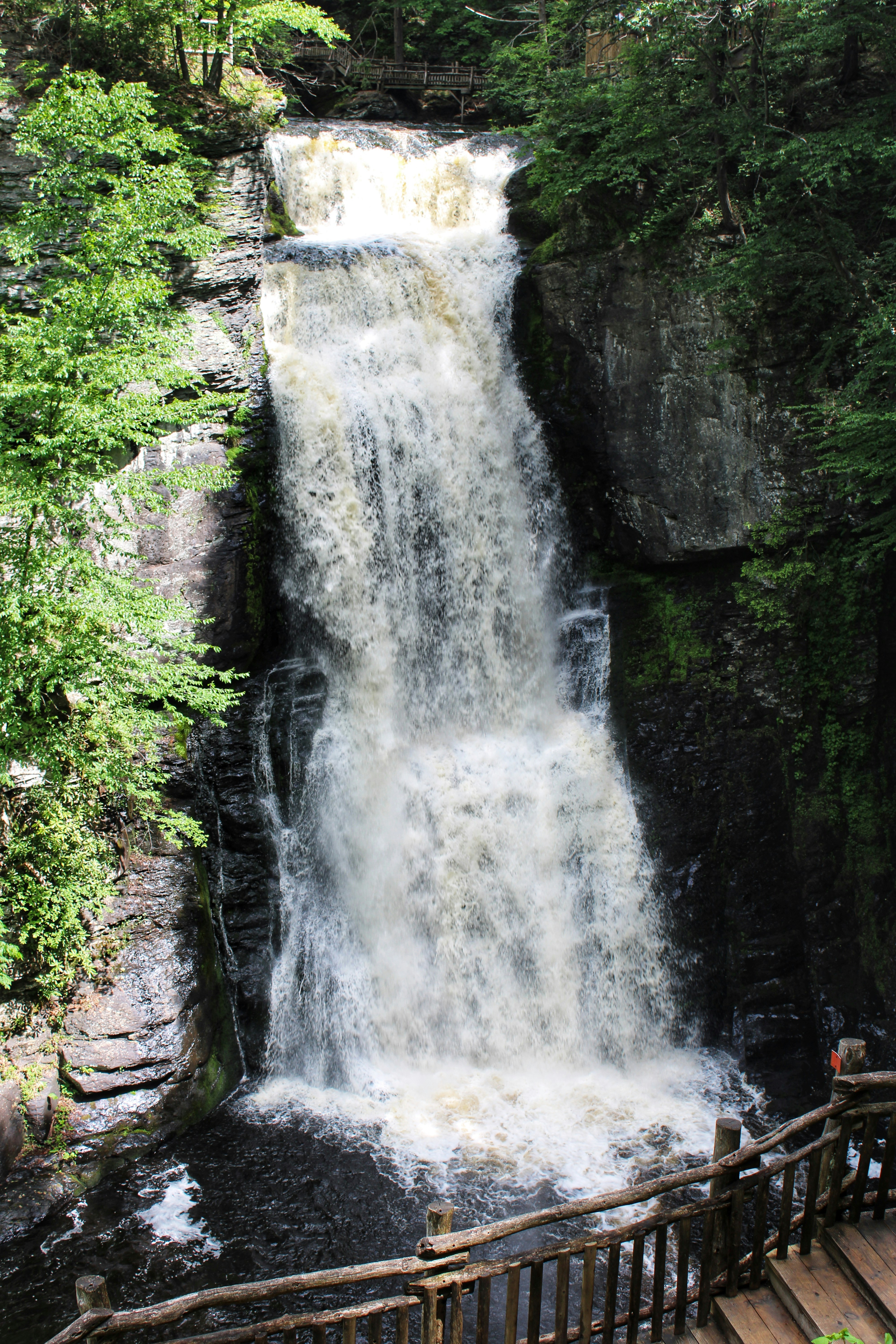 Photo by brandonlawrencephotography