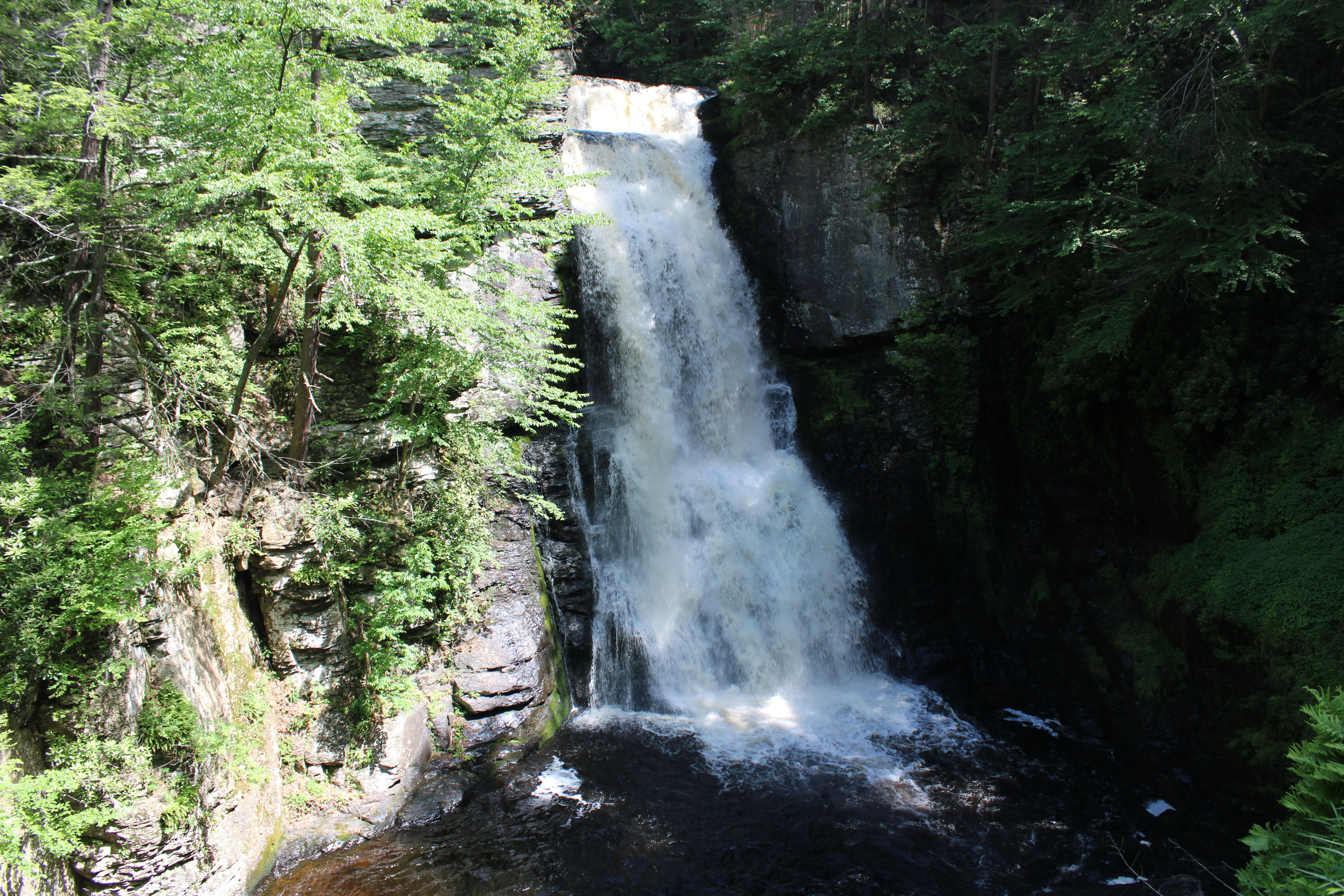 Photo by brandonlawrencephotography