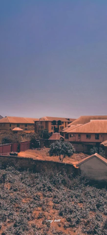 A wide view of a neighborhood with several homes featuring new golden roofs.