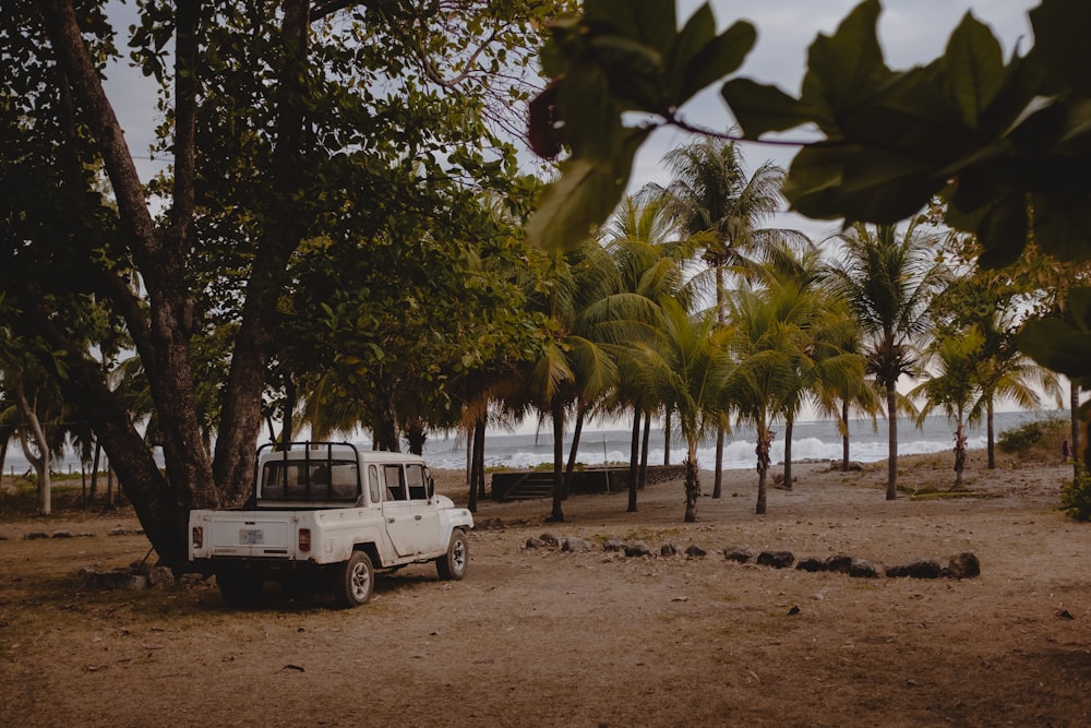 white and black suv parked near green palm tree during daytime