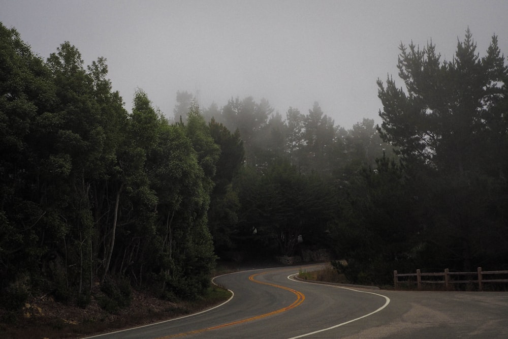 gray concrete road between green trees