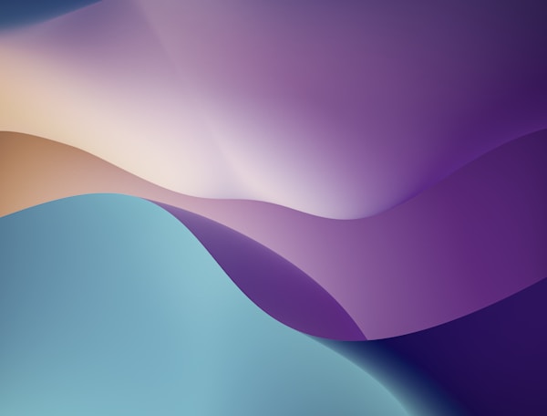 Video frame