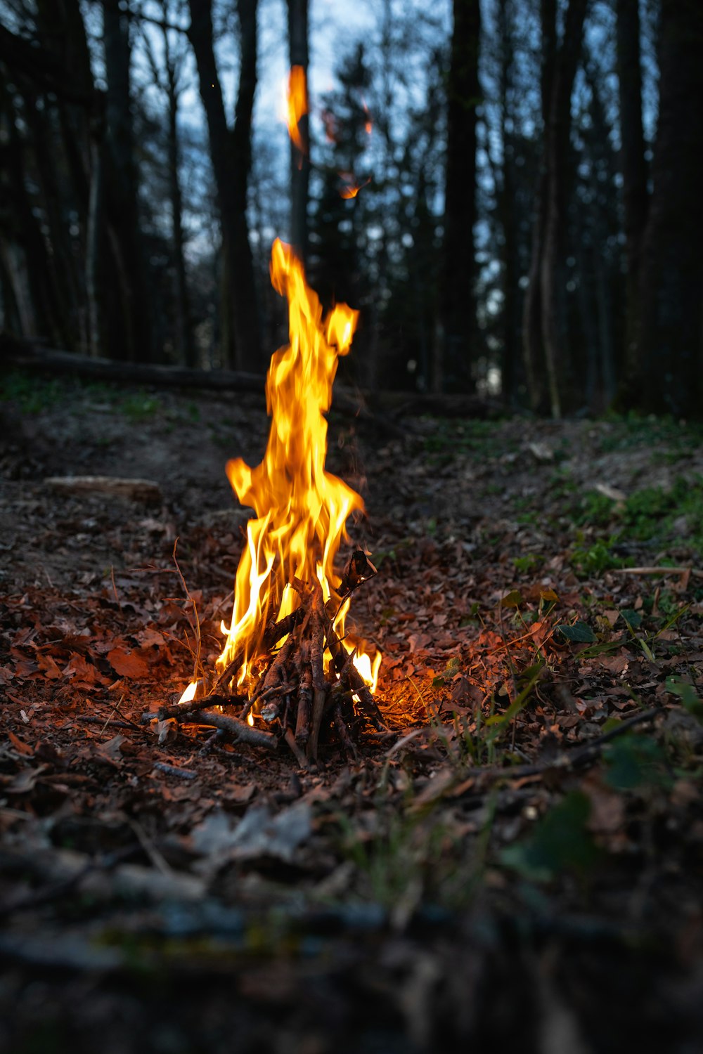 fire on ground during daytime