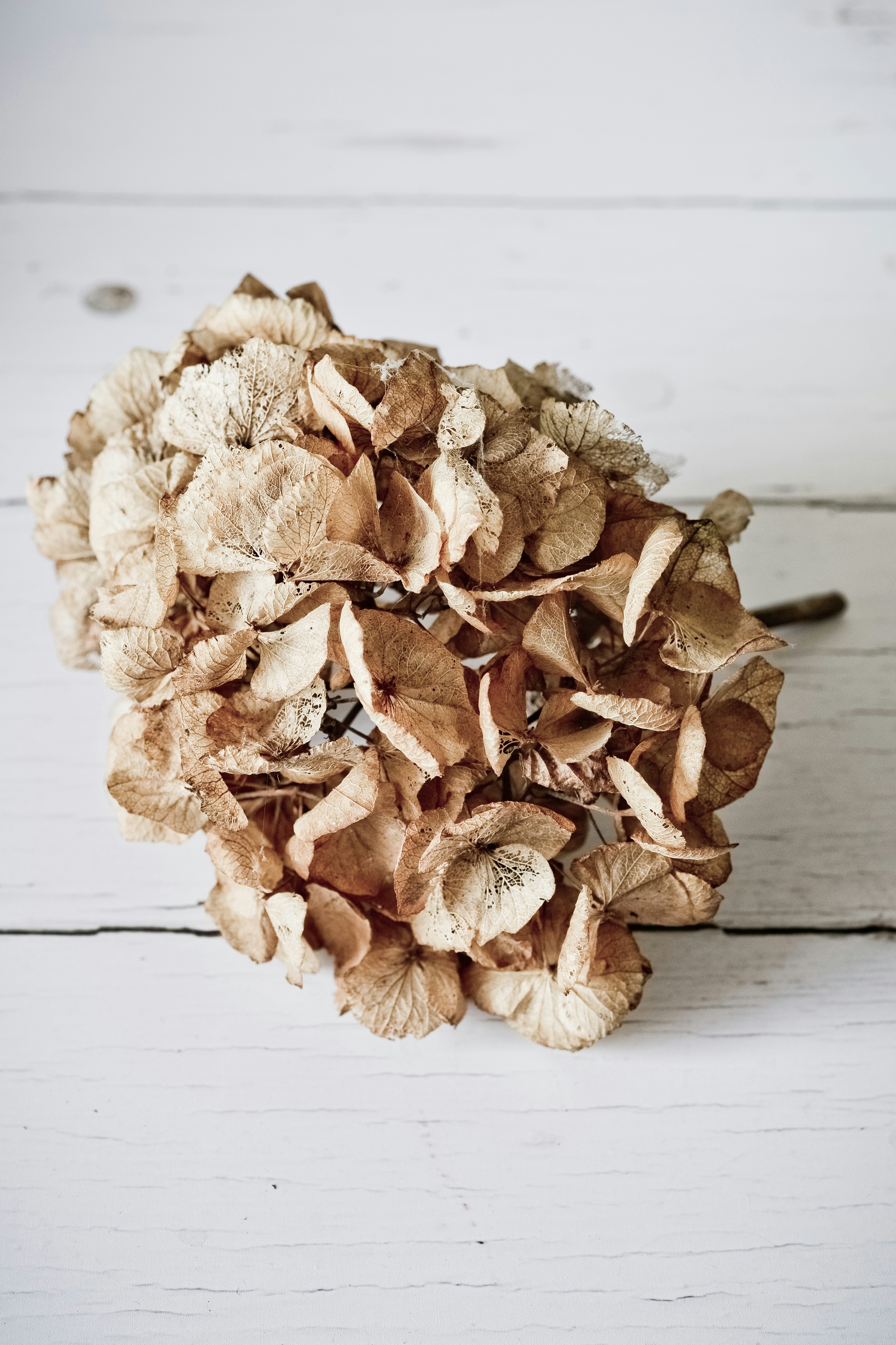 Photo by margaret_jaszowska