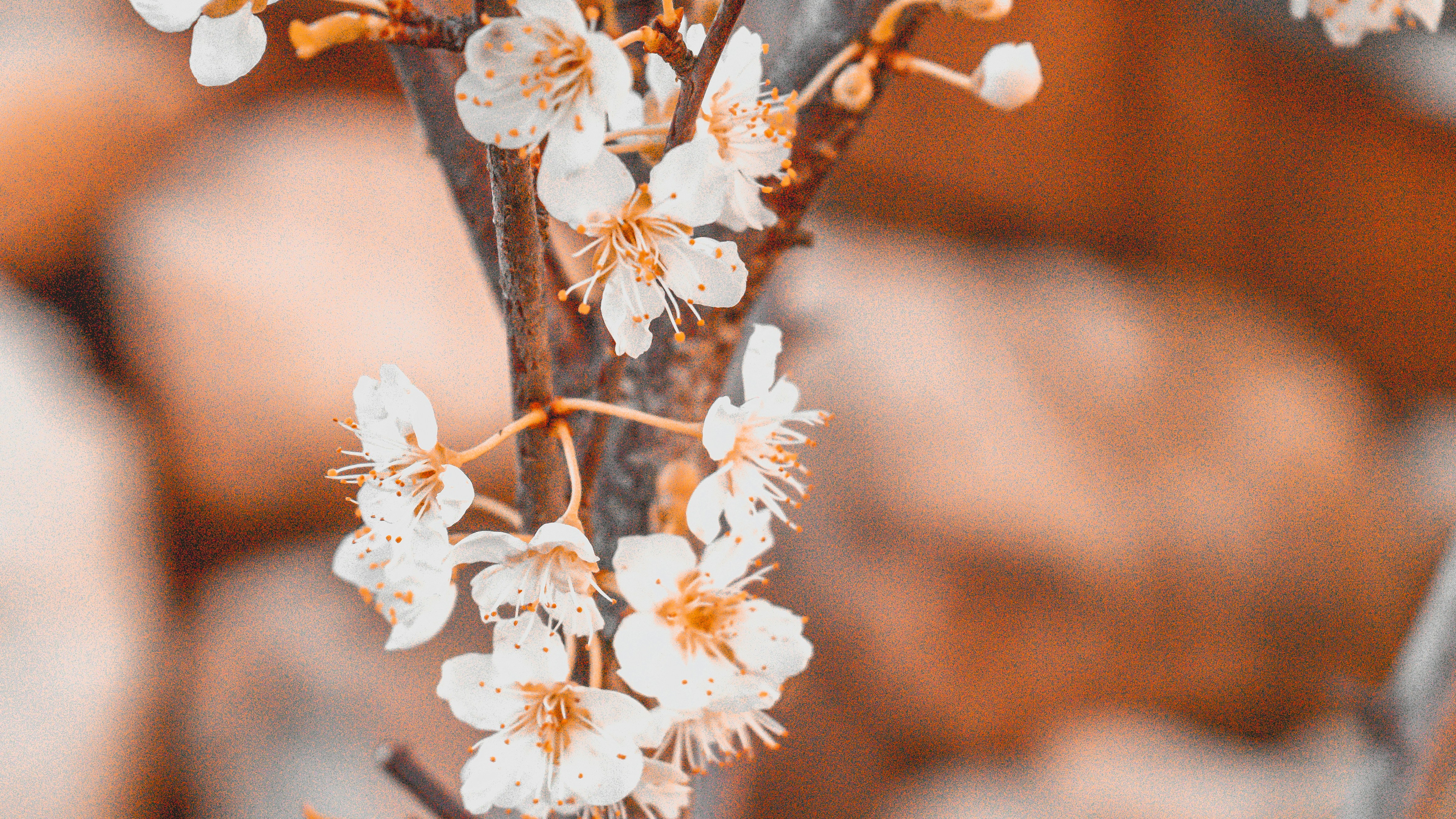 Photo by colefreeman