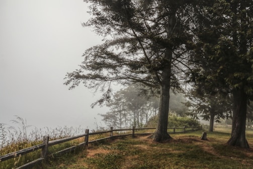 An outdoor setting with a diffuser creating a mist.