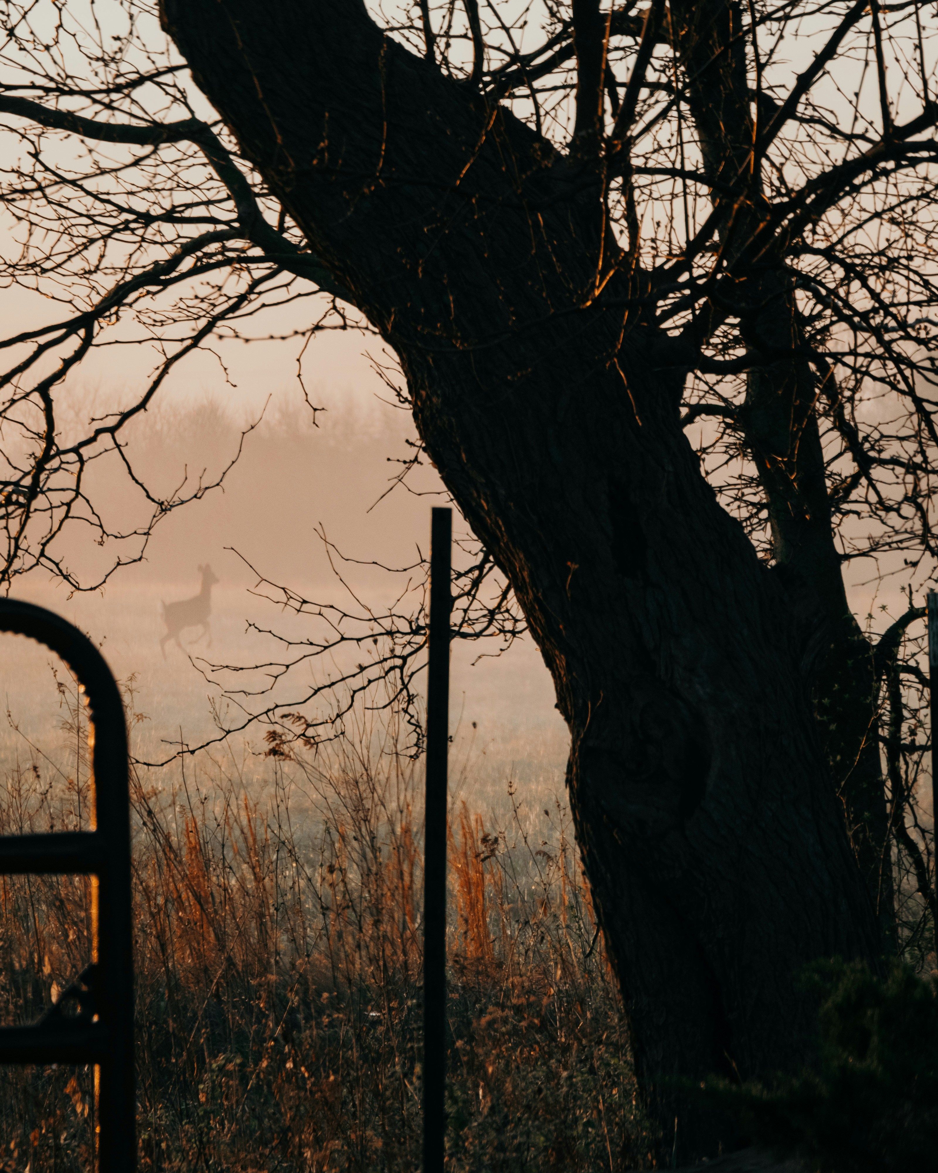 Photo by framesforyourheart