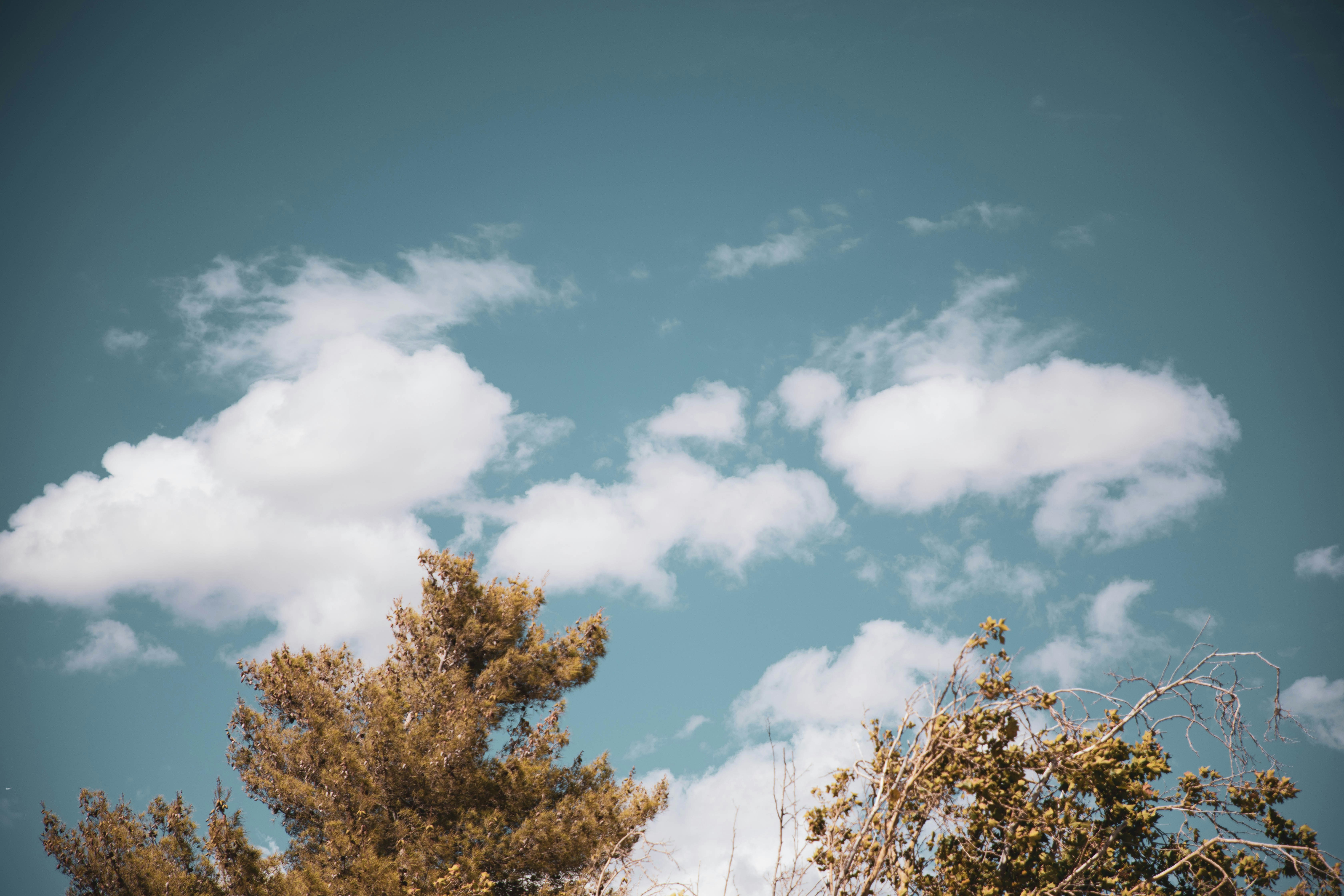 Photo by figmentprints