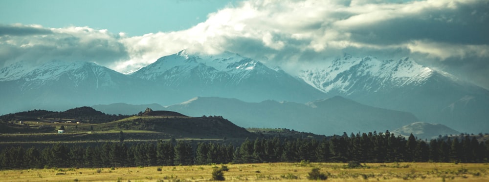 green trees and mountain under white clouds and blue sky during daytime