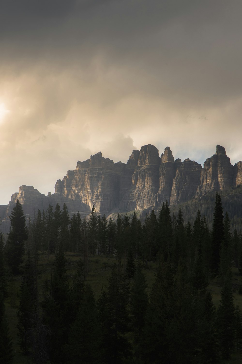 pinos verdes cerca de la montaña marrón bajo nubes blancas durante el día