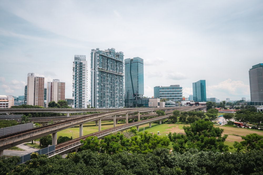 green trees near city buildings during daytime