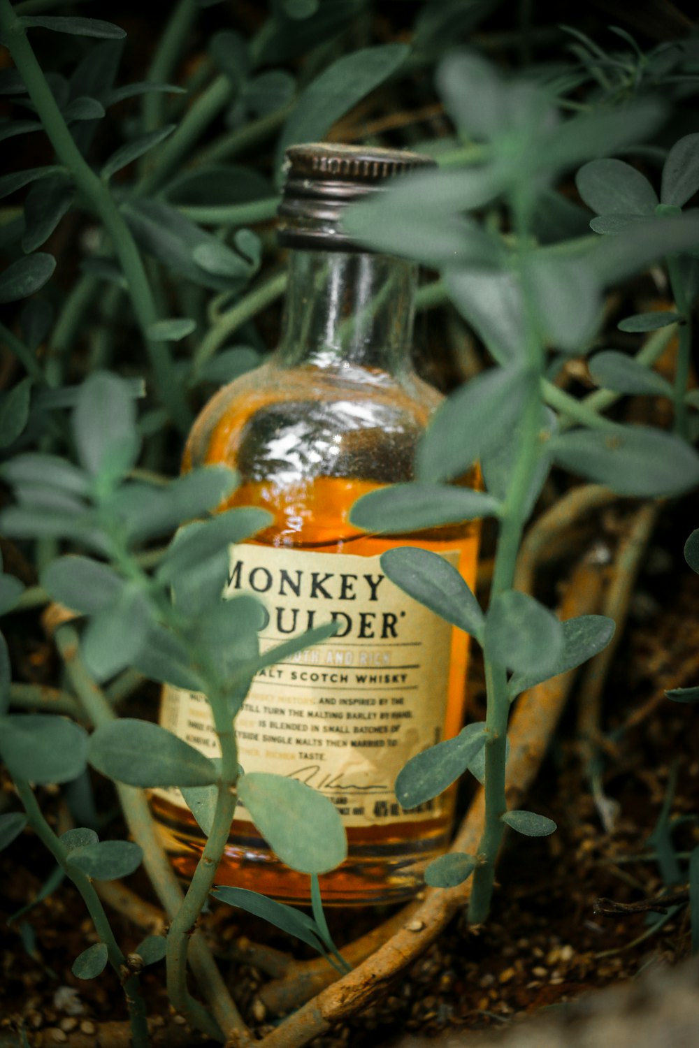 a bottle of whiskey sitting in the grass