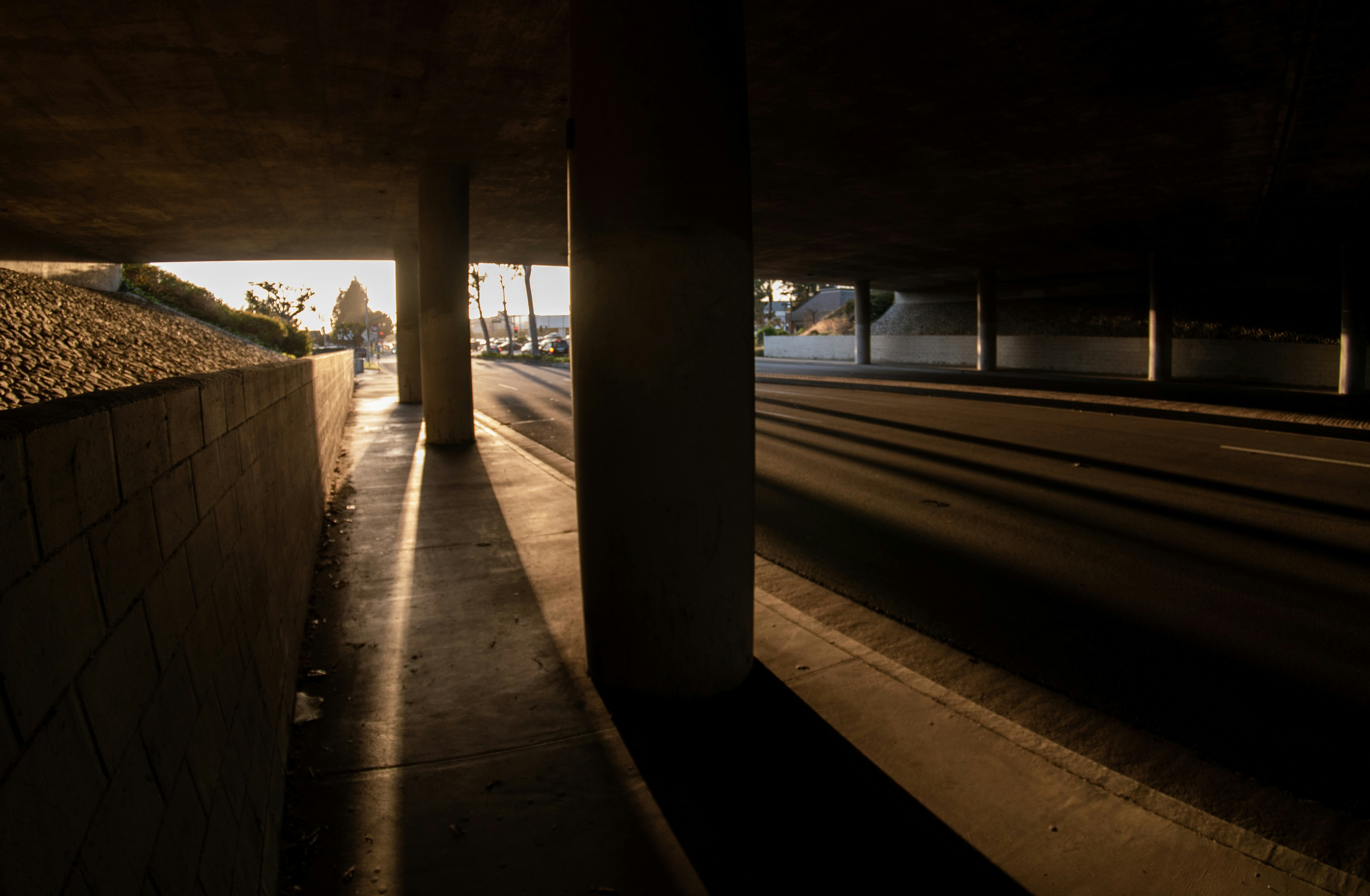 Photo by kingkonggeorge