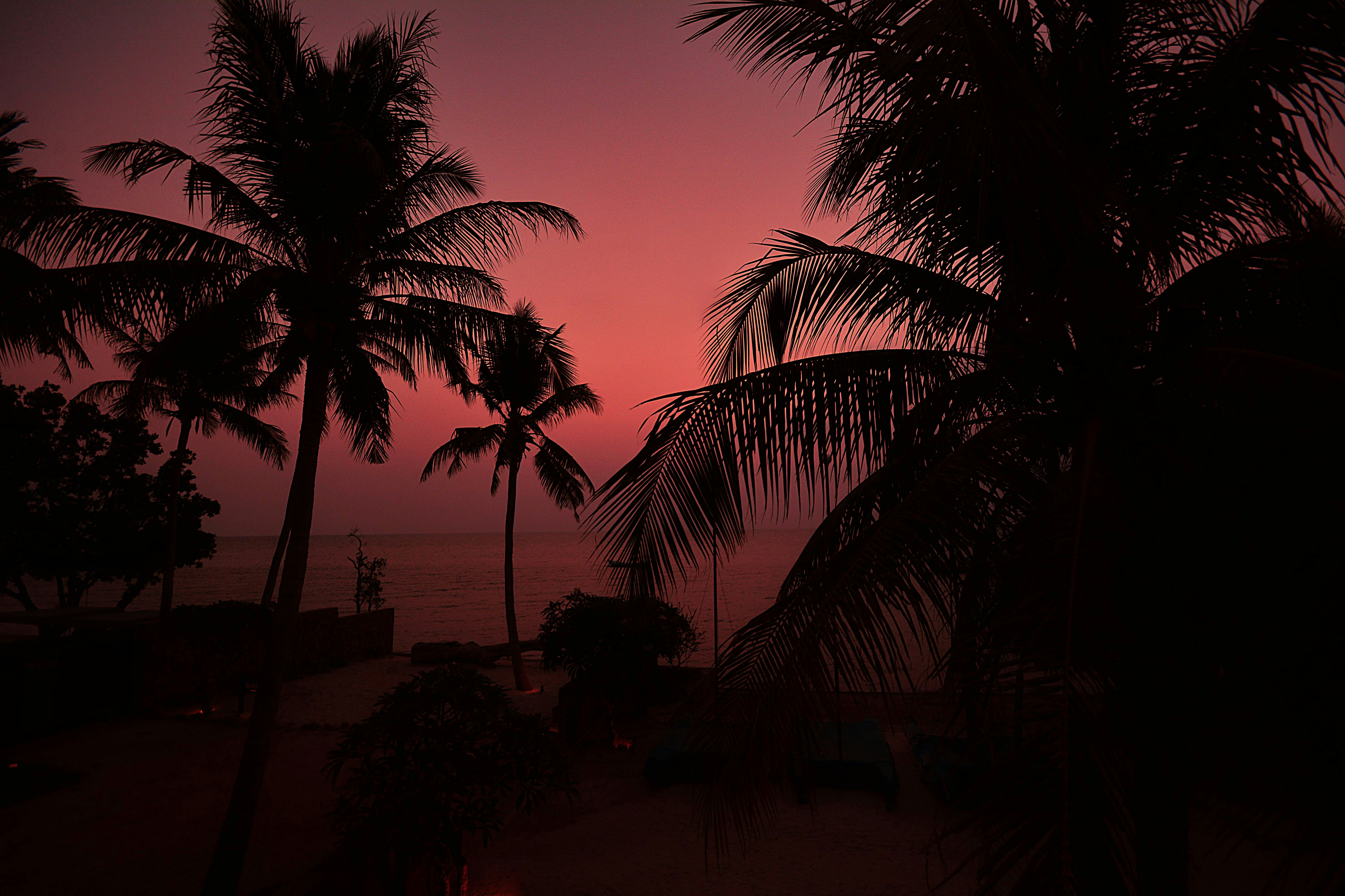 Photo by allphotobangkok