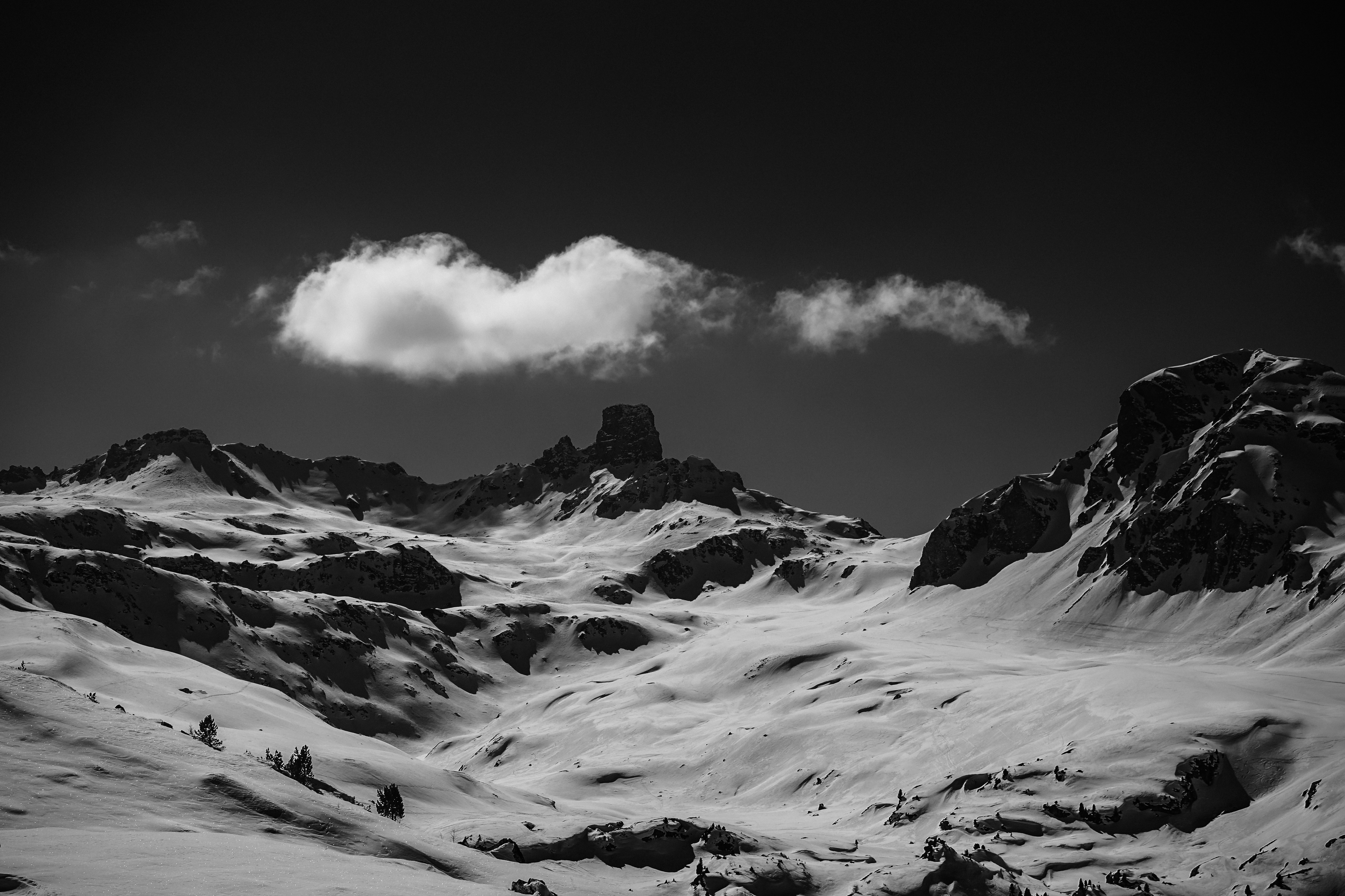 Photo by damienschnorhk