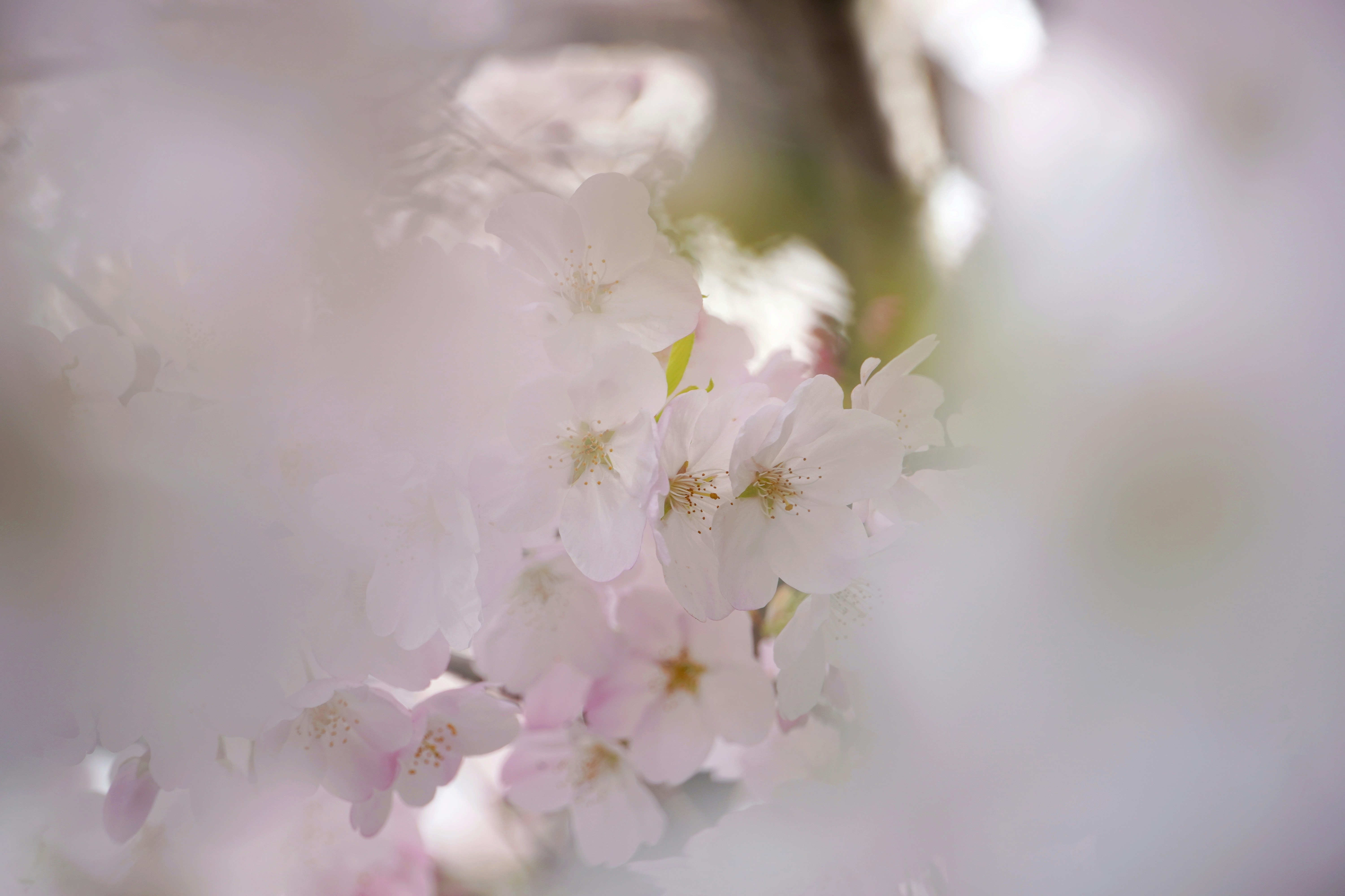 Photo by meinayin