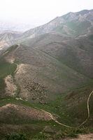 A serene landscape featuring rolling hills covered with patches of green grass and bare earth. A herd of livestock, possibly sheep or goats, is gathered near the center, grazing on the slopes. The scene is expansive, with intricate patterns formed by natural contours and pathways meandering through the terrain.